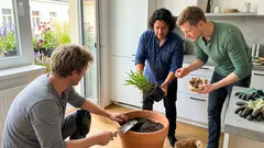 Záhon bez věčného přerypávání: tři cibulnaté trvalky, které rok od roku zkrásní