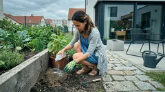 Mraveniště v záhonu není to nejhorší: 3 jednoduché kroky, které zastaví i mšice