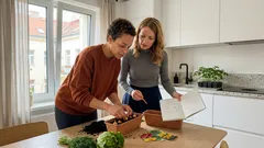 Co sázet vedle sebe na záhoně: pravidla sousedství a střídání, která často přidají úrodu